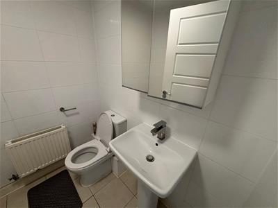 Picture 24
